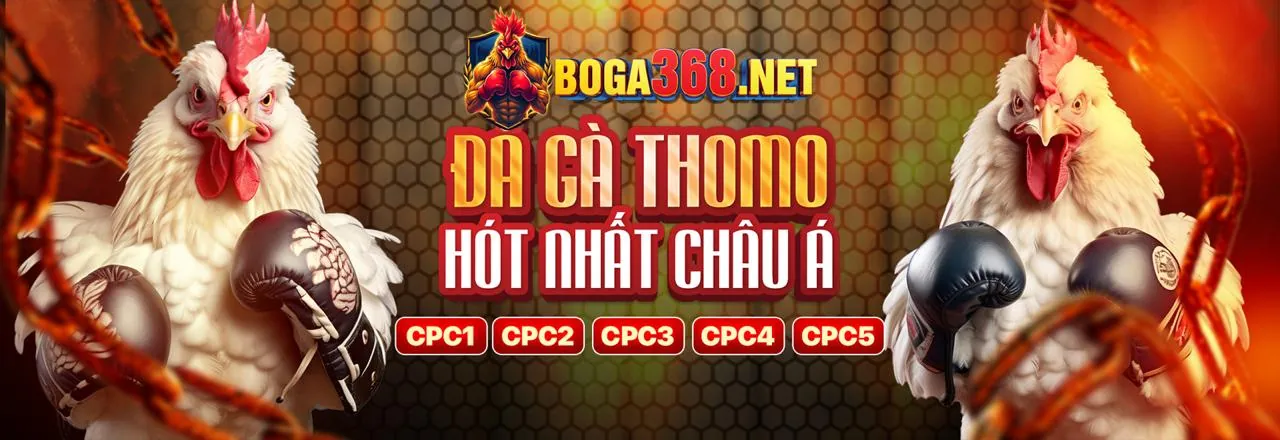 Điều khoản Dịch vụ BJ88 Thể Thao