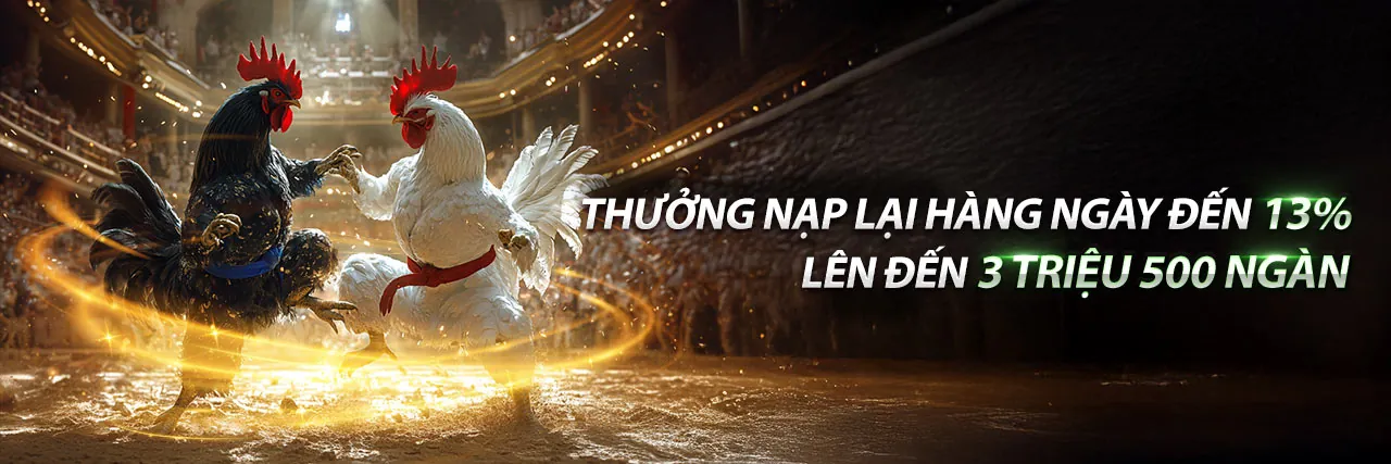 Chương trình VIP độc quyền của bj88 thể thao